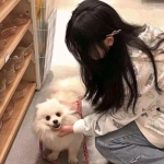 三国将魂录变态版下载